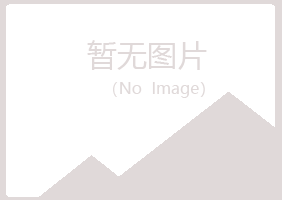 攀枝花夏岚能源有限公司